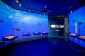MUSEO DE NERJA